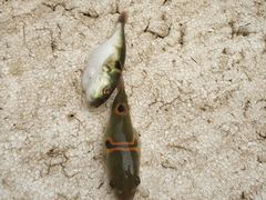 -南沙十九涌渔人码头-南门