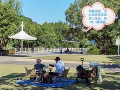 -新江湾城公园