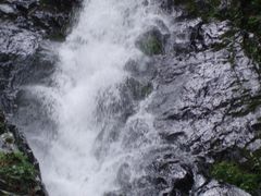 -凤凰山国家森林公园