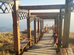 -白草畔自然风景区