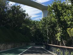 -飞凤山奥体公园