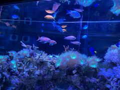 -郑州海洋馆