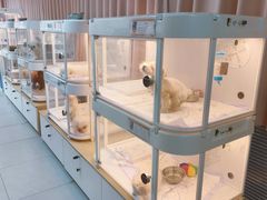 -翊宠yipet猫狗购宠庄园犬舍•猫舍