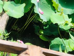 -韶山毛泽东同志故居