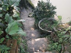 -黄三汤圆