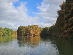 -上海海湾国家森林公园