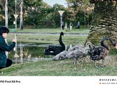 -湖泉半山温泉(湖泉生态园)