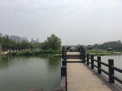 -前关湿地公园