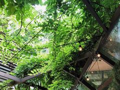 -夏朵餐厅(丁香店)