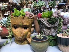 -秦美花卉(天朗·莱茵小城2期店)