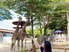 -灵玲国际马戏城