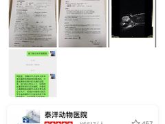 -泰洋动物医院·神经专科·磁共振·CT(天河公园总院)