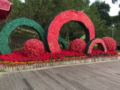 -金鸡山公园