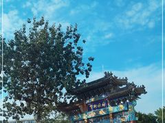 -宝轩渔府·老字号海鲜·正宗津菜(水上店)