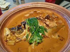-柿合缘新京菜(国金中心商场店)