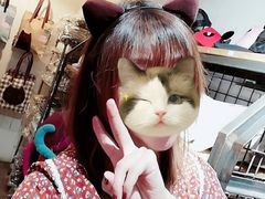 -猫咪博物馆(顶澳仔猫街店)