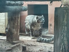 -青藏高原野生动物园