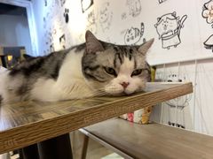 -小时光咖啡馆(开森度假森林店)