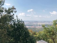 -紫金山山顶公园