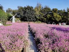 -玫瑰海岸文化旅游度假区