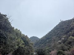 -黔灵山公园
