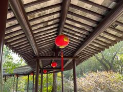 -上海醉白池公园