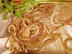 -长平老姿娘夜粥(平东一街店)