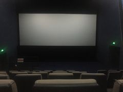 -幸福蓝海国际影城(河西店)