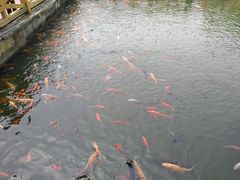 -威海华夏城景区