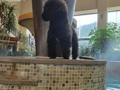 -韶关经律论国际酒店温泉