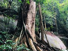 -七仙岭温泉国家森林公园