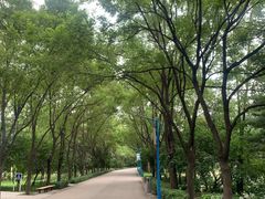 -森林公园(尖草坪区)