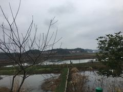 -崇阳三特浪口温泉