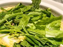 -龙泉人椰子鸡.糟粕醋.海南菜(三亚旗舰店)