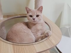 -永和大王(茉莉上新·共和新路店)