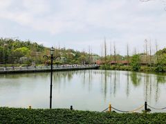 -东部华侨城