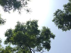 -海荣锅贴馆(五味十字店)
