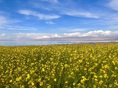 -青海湖国家重点风景名胜区