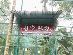 -呀诺达热带雨林