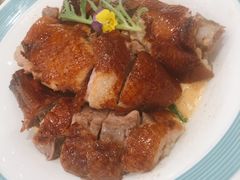 -椿记烧鹅(叠彩店)