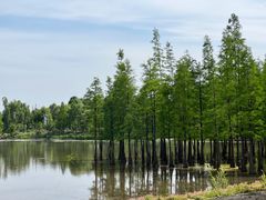 -白鹭湾湿地公园