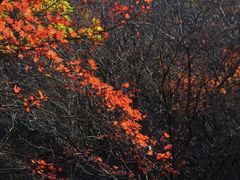 -本溪老边沟风景区
