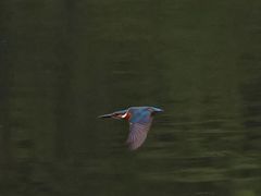 -重庆彩云湖湿地公园