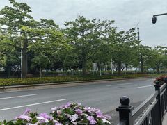 -广州香格里拉酒店