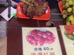 -马陆小张葡萄园农家乐