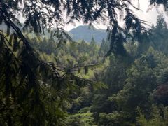 -泽雅景区