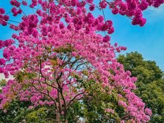 -万科前海企业公馆