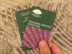 -新加坡文华东方酒店