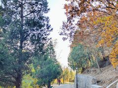 -白水寺森林公园