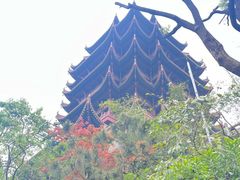 -黄鹤楼